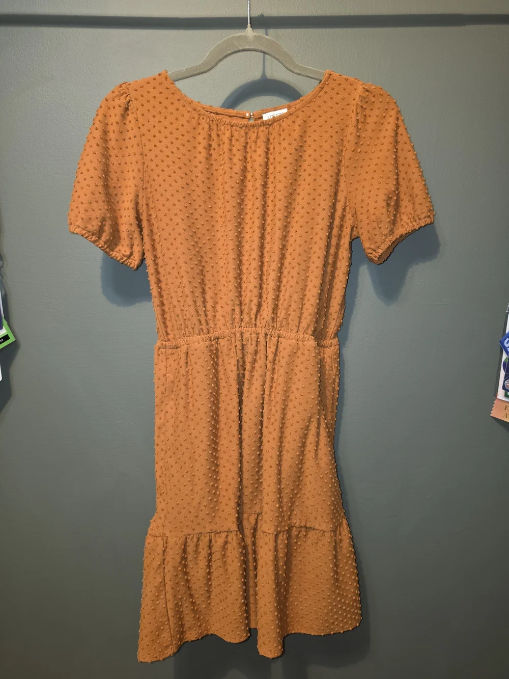 J. Crew Rust Orange Swiss Dot Midi Dress